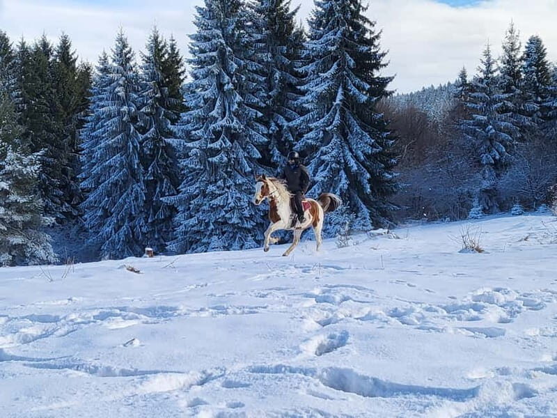 Horse Riding Day Trip in the Rila Mountain - FAQ