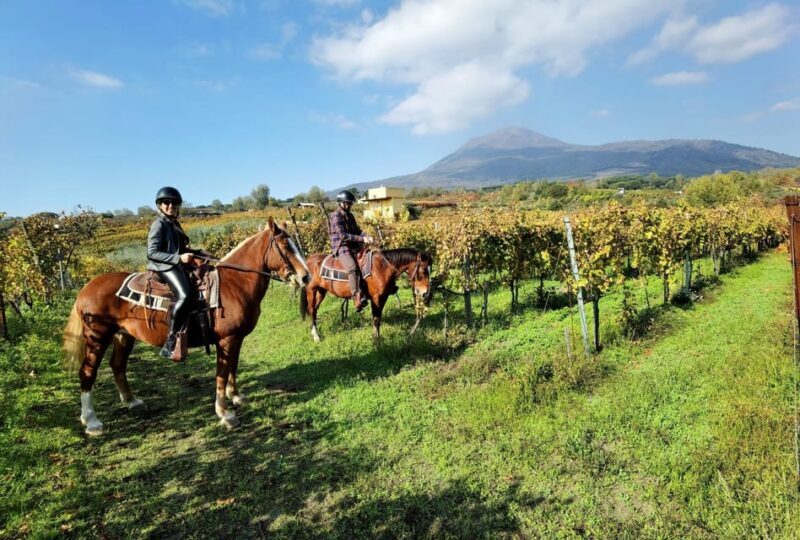Horse Riding Experience on Vesuvius w/ Wine Tasting - Key Points