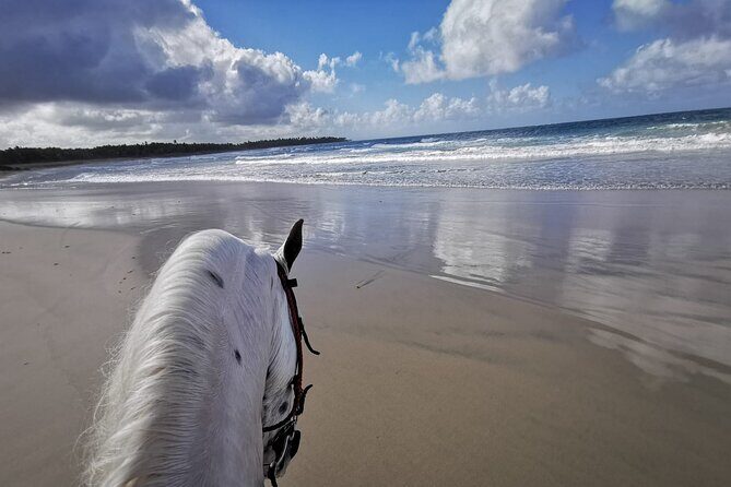 Horse Riding Experience through El Limon Beach - Key Points