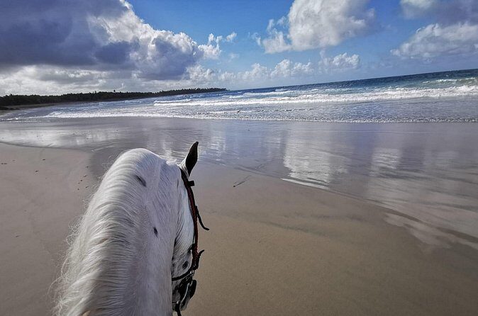 Horse Riding Experience through El Limon Beach - Why This Tour Is Worth Considering