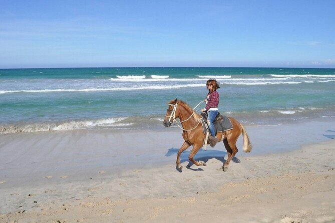 Horse Riding Experience through El Limon Beach - Who Should Book This Tour?