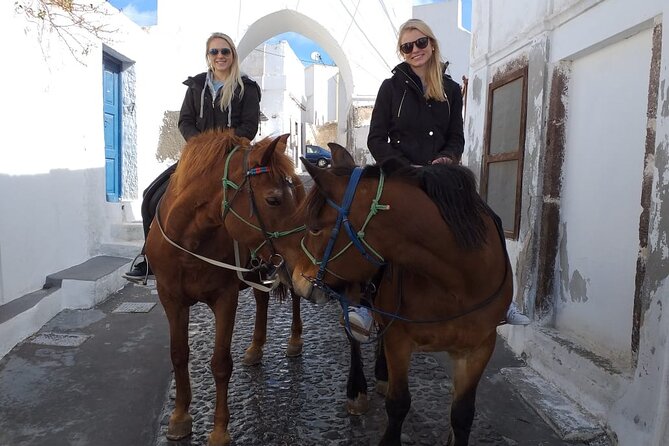 Horse Riding--Explore Secret Thera - Meeting and Pickup Details