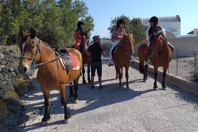 Horse Riding--Explore Secret Thera - Customer Reviews