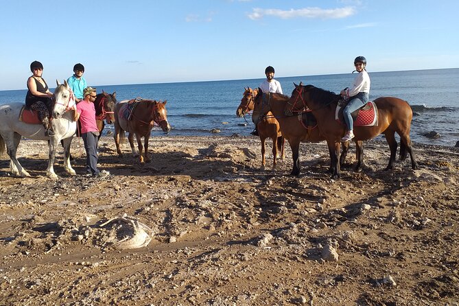 Horse Riding--Explore Secret Thera - Panoramic Views of the Caldera