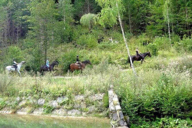 Horse Riding in Bled - An In-Depth Look at the Horse Riding Experience in Bled