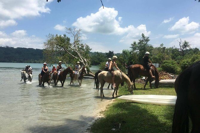 Horse Riding in Port Vila with Yumi Tours - What You Can Expect from the Horse Riding Tour