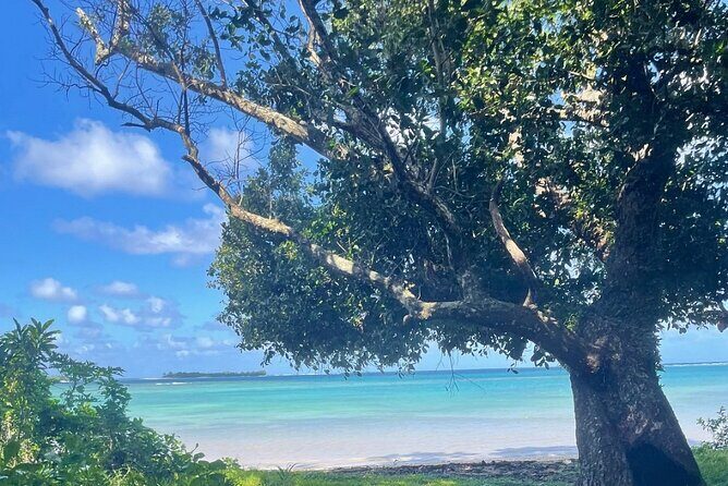 Horse Riding in Port Vila with Yumi Tours - The Sum Up: Is It Worth It?