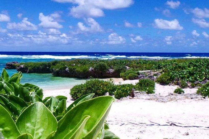 Horse Riding in Port Vila with Yumi Tours - FAQs