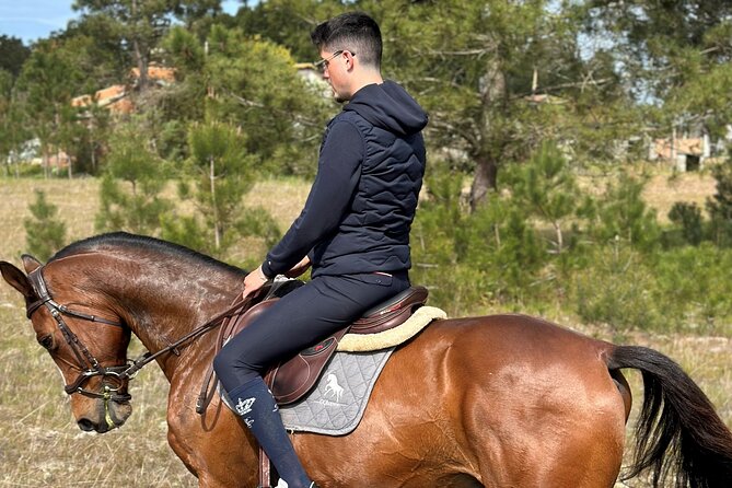 Horse Riding in the Countryside - Good To Know