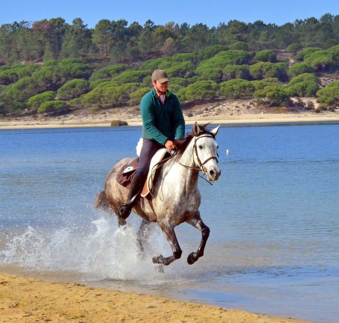 Horse riding in the Valley, near Lisbon - The Value of the Experience