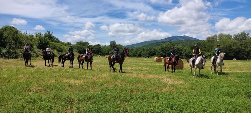 Horse Riding in Tuscany for Experienced Riders: Full-day Trail Ride - Key Points