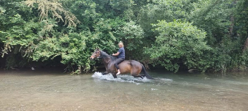 Horse Riding in Tuscany for Experienced Riders: Full-day Trail Ride - An Authentic Way to Discover Tuscany’s Hidden Corners
