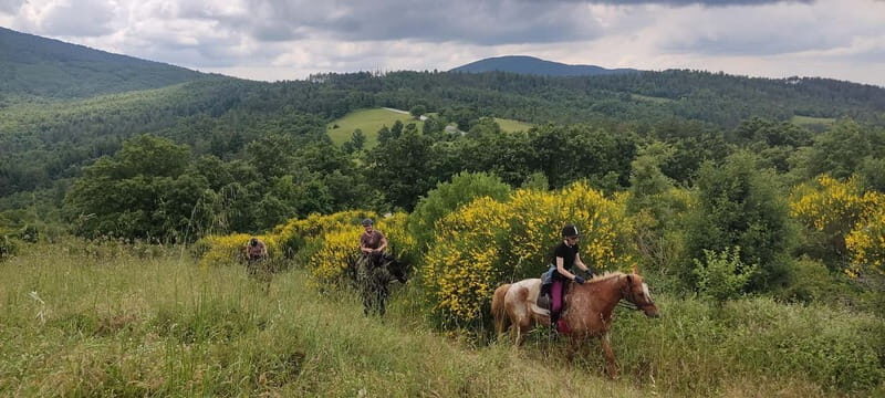 Horse Riding in Tuscany for Experienced Riders: Full-day Trail Ride - Who Should Consider This Tour?
