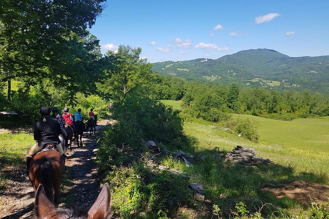 Horse Riding in Tuscany for Experienced Riders: Full-day Trail Ride - Important Information