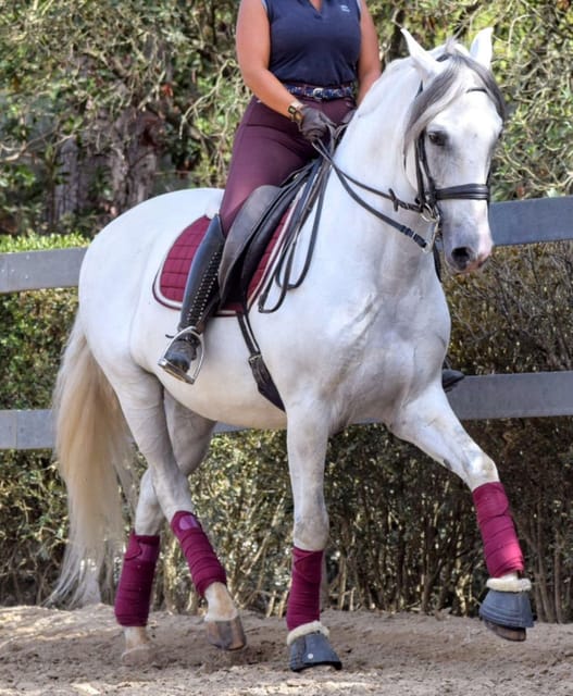 Horse Riding Lesson & Lunch & Regional Wine Tasting - Key Points