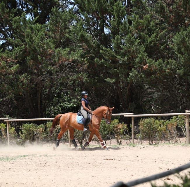 Horse Riding Lesson & Lunch & Regional Wine Tasting - The Lunch with a View: Savoring Portugal’s Flavors