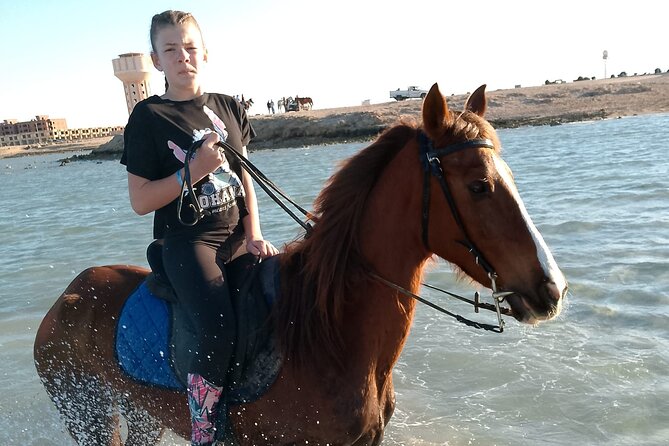 Horse Riding on the Beach and Desert 3 Hours From Hurghada - Frequently Asked Questions