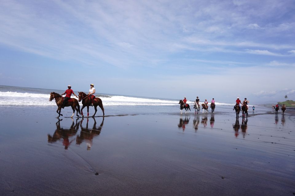Horse Riding on the Beach and in the Rice Fields - Pricing and Inclusions