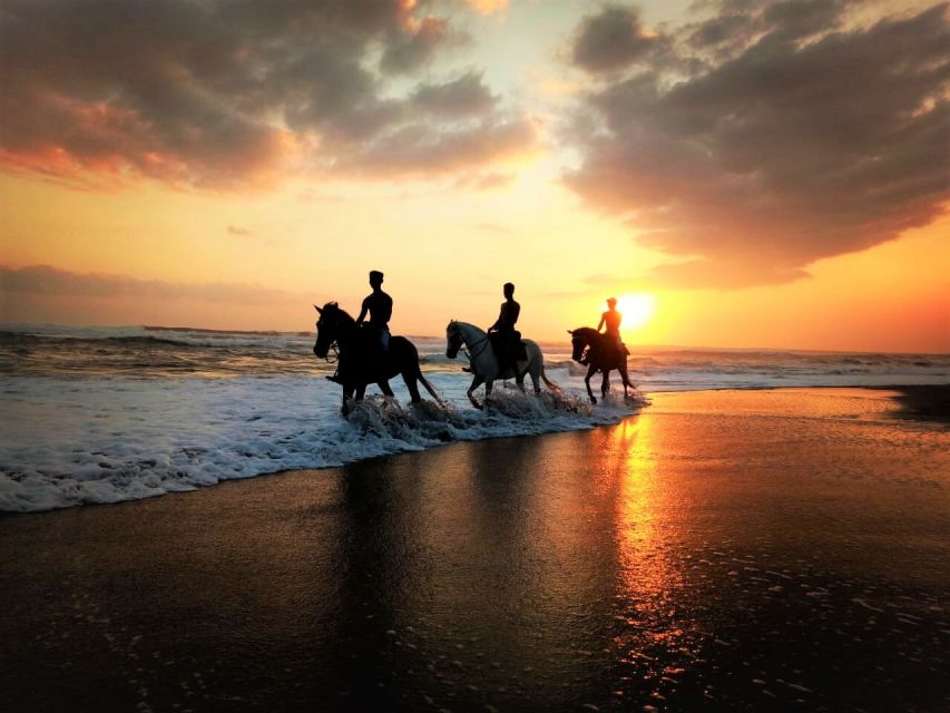Horse Riding on the Beach and in the Rice Fields - Weight Limit and Restrictions