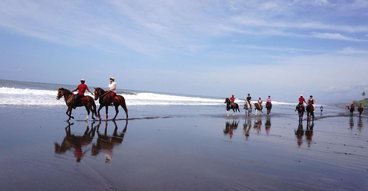 Horse Riding on the Beach and in the Rice Fields - What to Wear and Bring