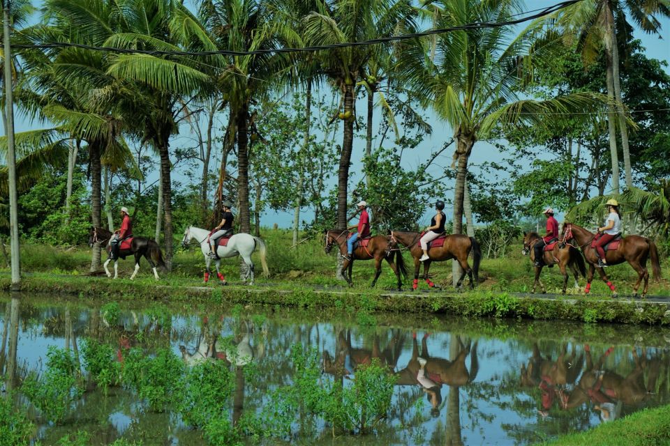 Horse Riding on the Beach and in the Rice Fields - Pickup and Transportation