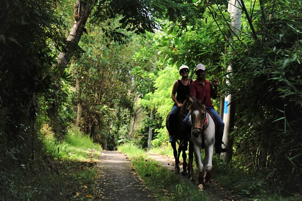 Horse Riding on the Beach and in the Rice Fields - Safety and Supervision