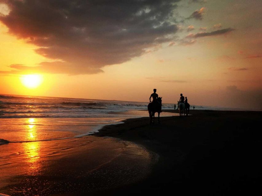 Horse Riding on the Beach and in the Rice Fields - Frequently Asked Questions
