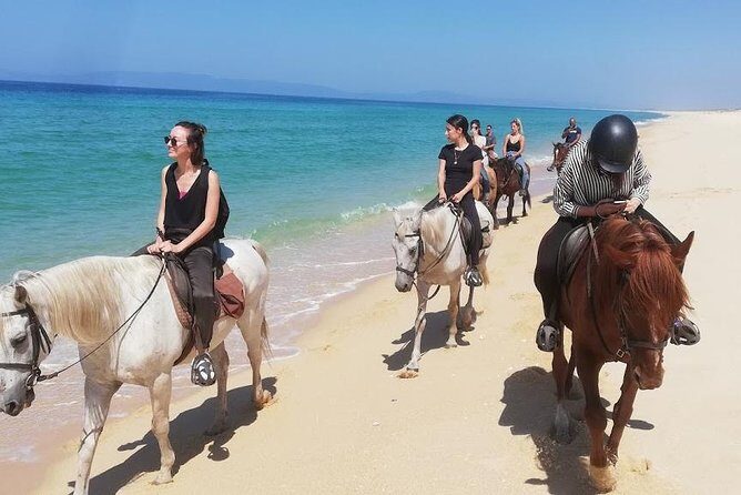 Horse Riding on the Beach Tour - Key Points