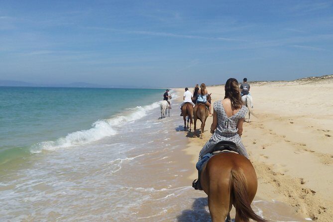 Horse Riding on the Beach Tour - The Sum Up