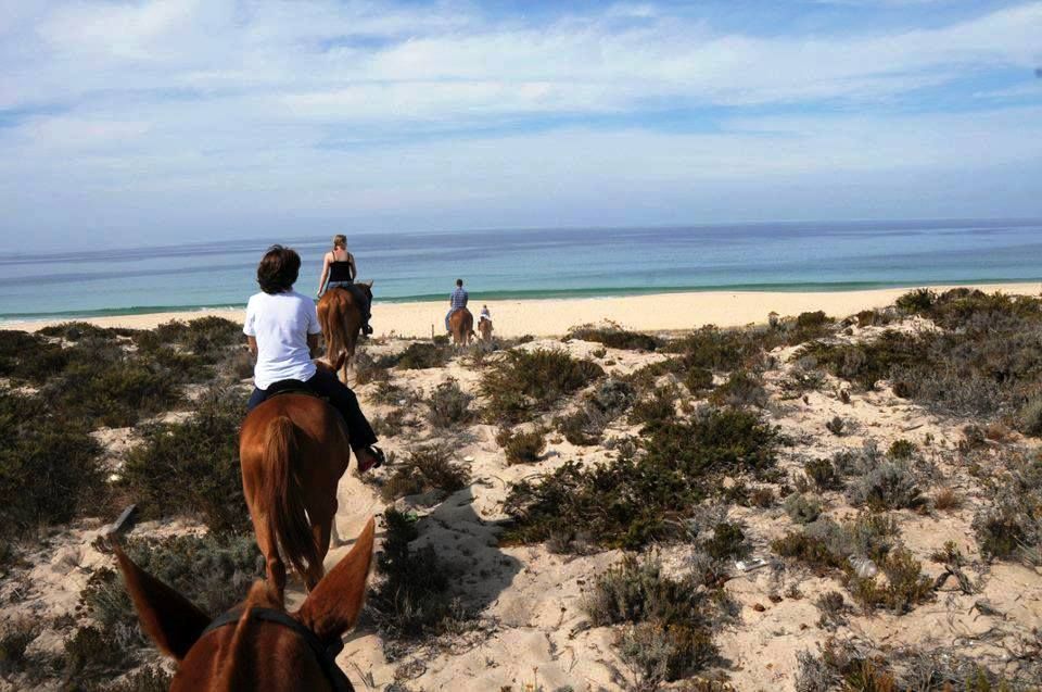 Horse riding on the beach, with private transfer from Lisbon - Discovering the Experience