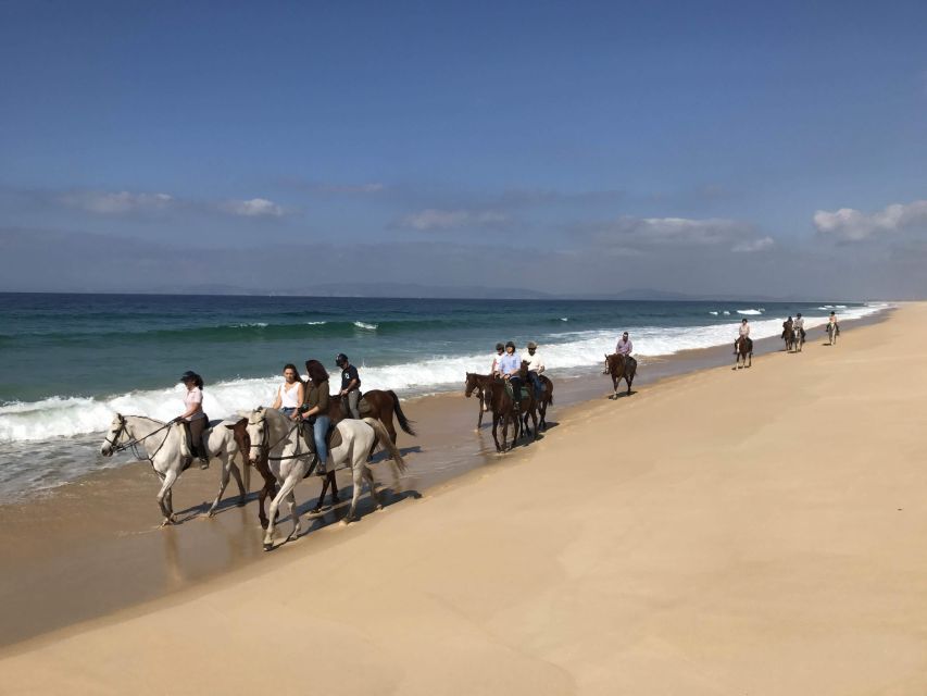 Horse riding on the beach, with private transfer from Lisbon - Who Should Consider This Tour?