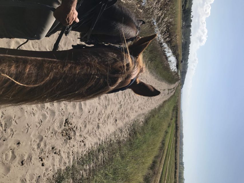 Horse riding on the beach, with private transfer from Lisbon - Practical Tips for Travelers