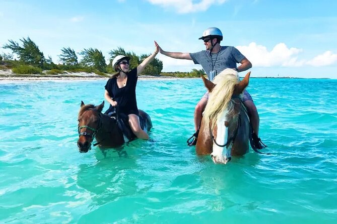 Horse Riding on the Beach With Transfer From Sharm El Sheikh - Safety Considerations