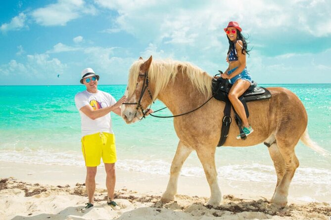 Horse Riding on the Beach With Transfer From Sharm El Sheikh - Horse Condition Insights