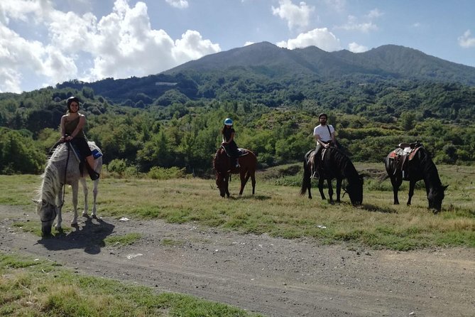Horse Riding on Vesuvius - Horseback Riding Experience