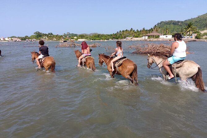 Horse Riding Puerto Plata - The Itinerary Breakdown