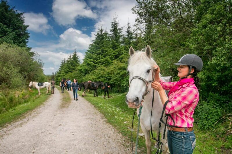 Horse riding the mountain trail. Clare. Guided, 2 hours - An In-Depth Look at the Experience