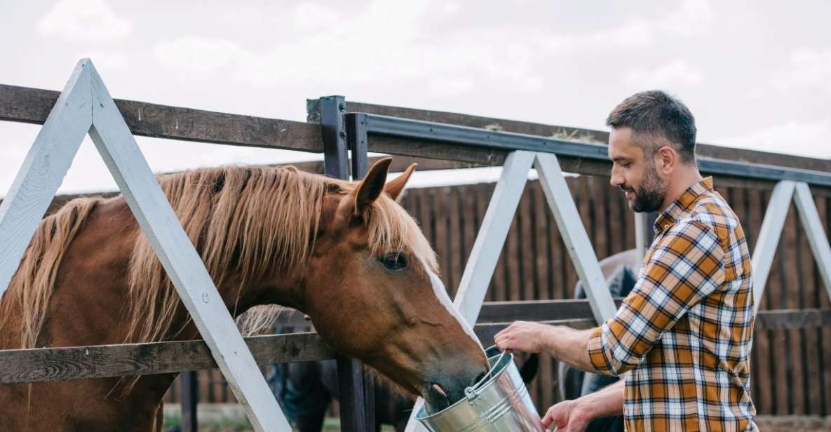 Horse Riding Through the Valleys + Lunch - Horseback Ride Details