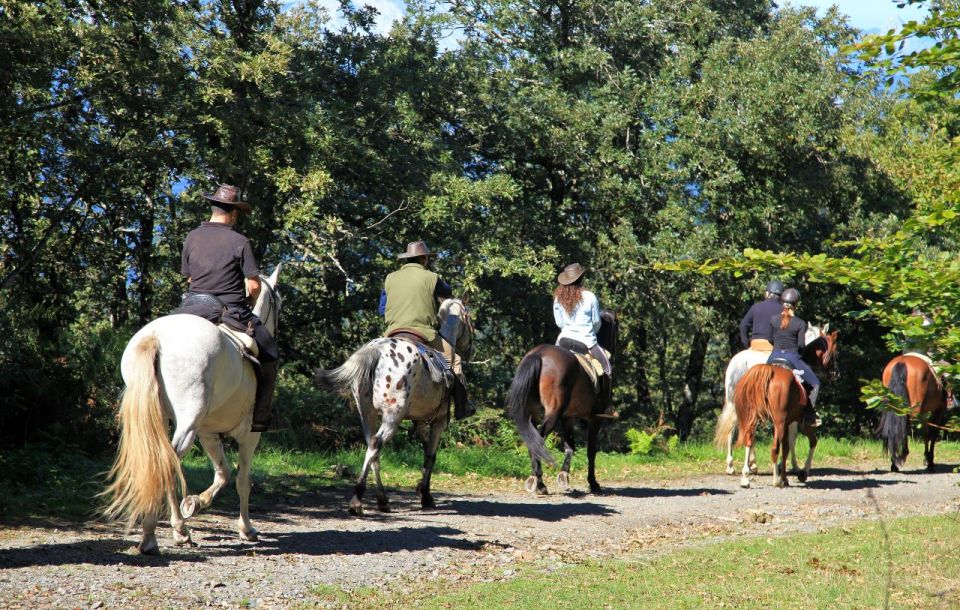 Horse Riding Through the Valleys + Lunch - Guided Tour Highlights