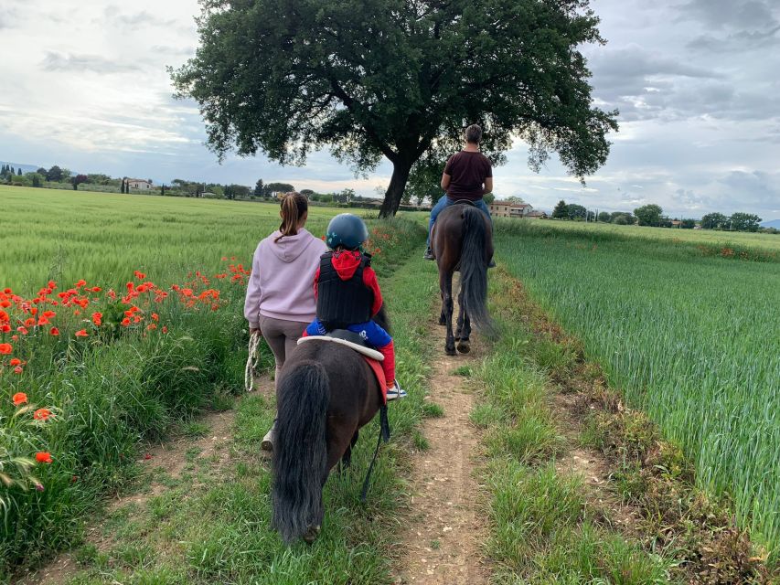 Horse Riding Through the Valleys + Lunch - Booking and Reservation