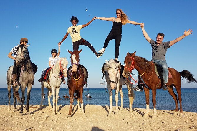 Horse Riding Tour 2 Hours Sea and Desert With Transfer - Hurghada - Horse Welfare Concerns