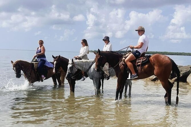 Horse Riding Tour at the Beach in Miami - Booking and Cancellation