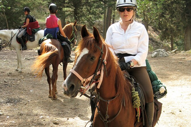 Horse Riding Tour in Bodrum With Hotel Pick up - Exploring Bodrums Turkish Countryside