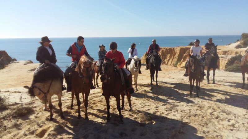 Horse-Riding Tour in Doñana National Park - Key Points