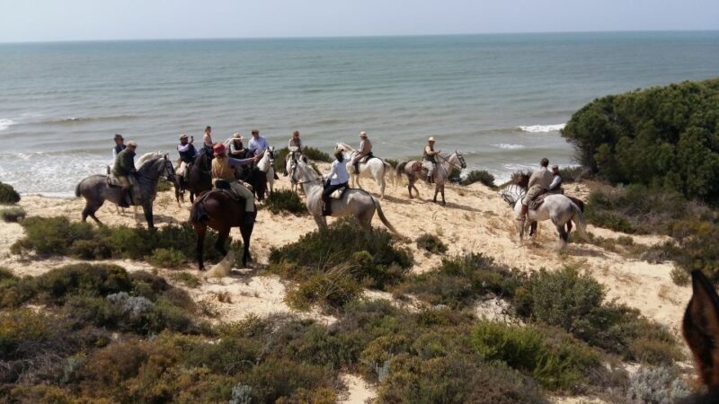 Horse-Riding Tour in Doñana National Park - Analyzing the Value and Suitability