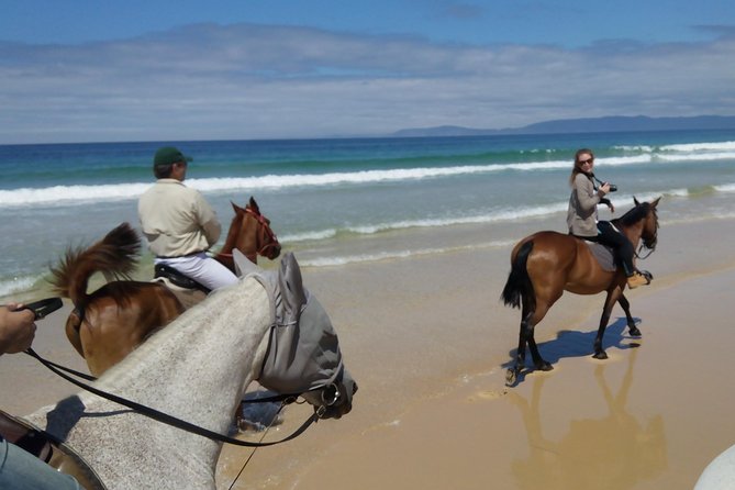 Horse Riding Tour on the Beach Lisbon Region - Booking Your Tour