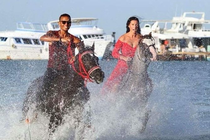 Horse Riding Tour Two Hours Sun & Sea With Transfer - Hurghada - Highlights of the Experience