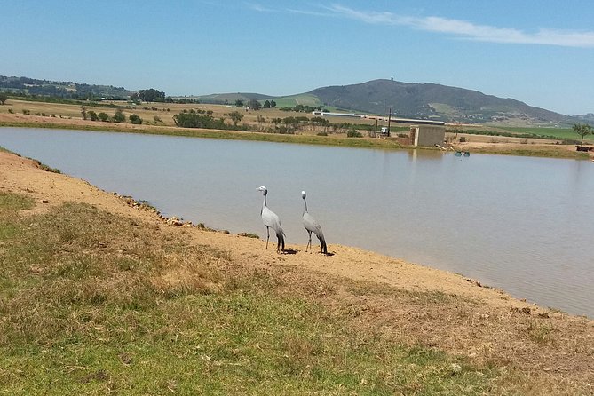 Horse Riding Wildlife Safari - Tour Details