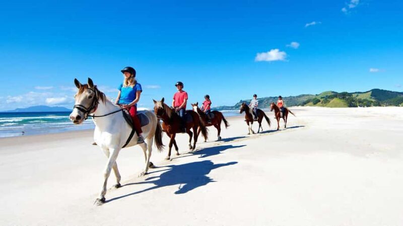 Horse Riding, Wine Tasting & Art Trail Private Tour - An Authentic Taste of North Island’s Countryside