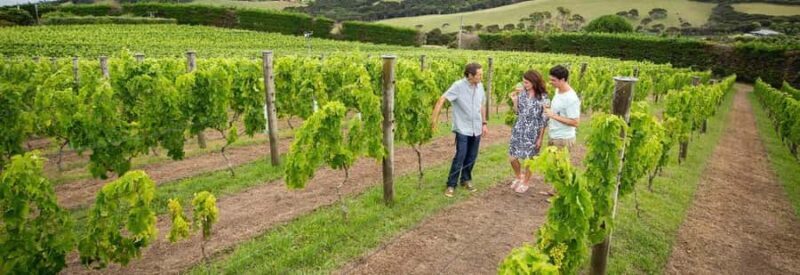 Horse Riding, Wine Tasting & Art Trail Private Tour - FAQ